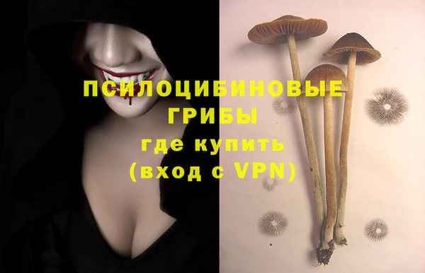 синтетический гашиш Алексеевка