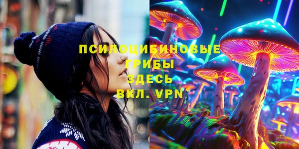 2c-b Алзамай