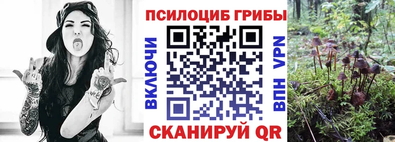 Псилоцибиновые грибы GOLDEN TEACHER  Устюжна 