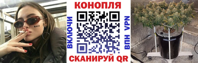 где можно купить   Устюжна  блэк спрут зеркало  Марихуана марихуана 